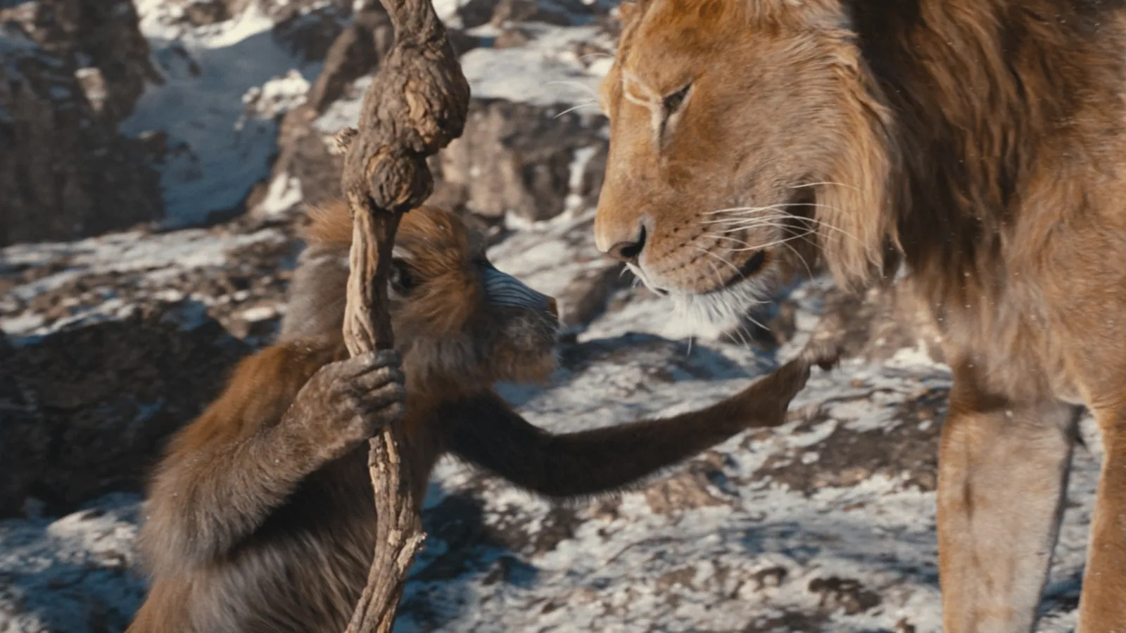 Still from Mufasa: The Lion King.
